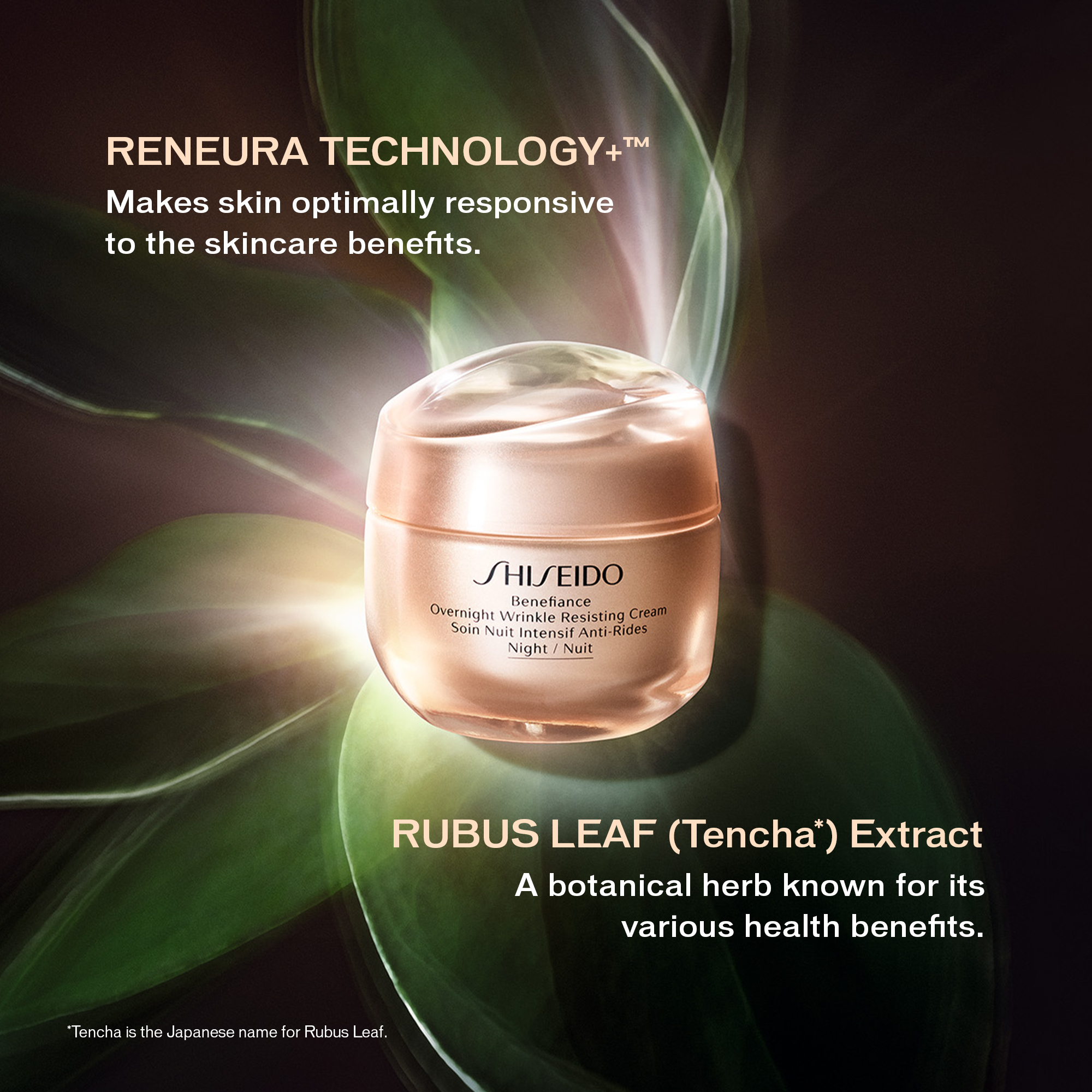 Overnight Wrinkle Resisting Cream,